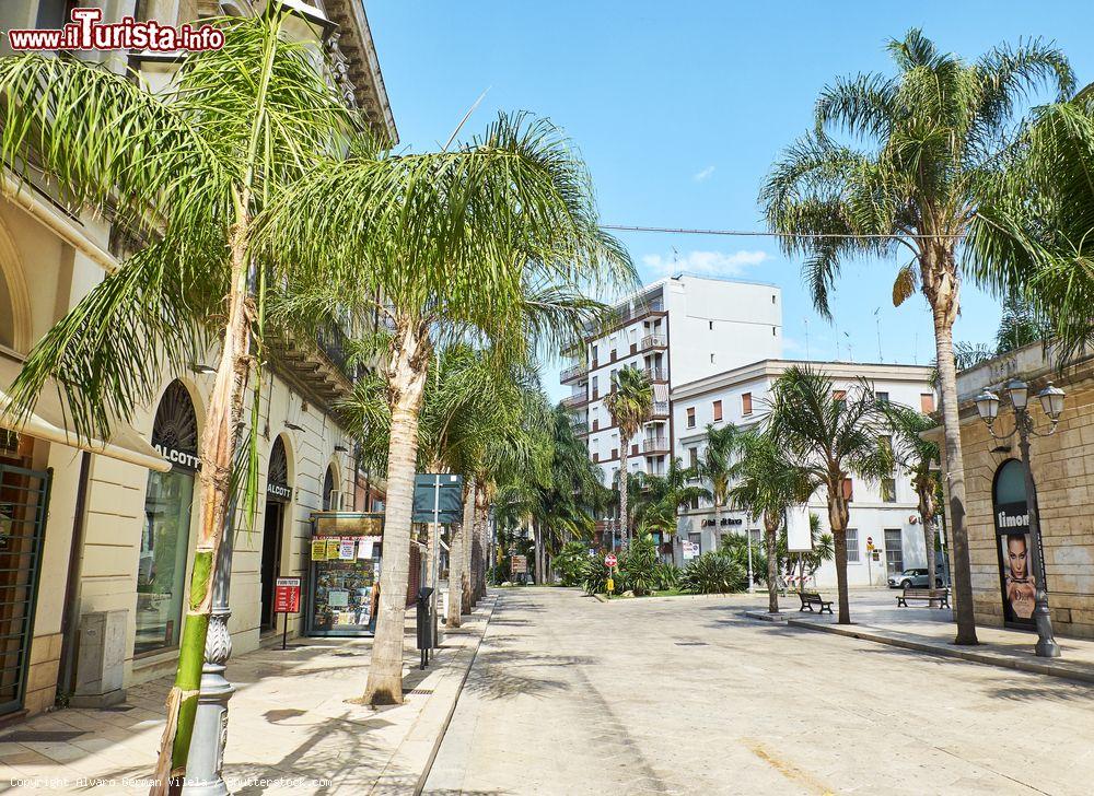 Immagine Una veduta di corso Umbero I° con Piazza del Popolo sullo sfondo, Brindisi, Puglia - © Alvaro German Vilela / Shutterstock.com