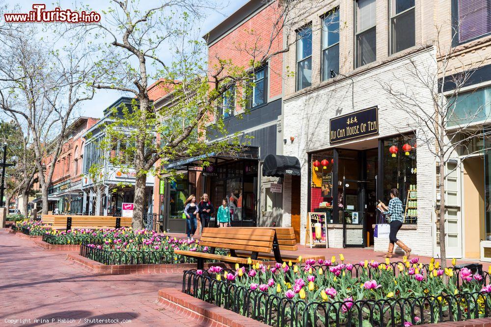 Immagine Una veduta primaverile di Pearl Street Mall a Denver, Colorado, con la fioritura dei tulipani. Nel primo ventennio del 1900 questa strada fu una delle prime a essere pavimentata e abbllita da marciapiedi di cemento larghi un metro e mezzo con aiuole © Arina P Habich / Shutterstock.com