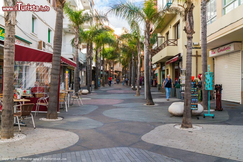 Immagine Una via alberata del centro di Puerto de la Cruz, Tenerife, isole Canarie, Spagna - © BBA Photography / Shutterstock.com