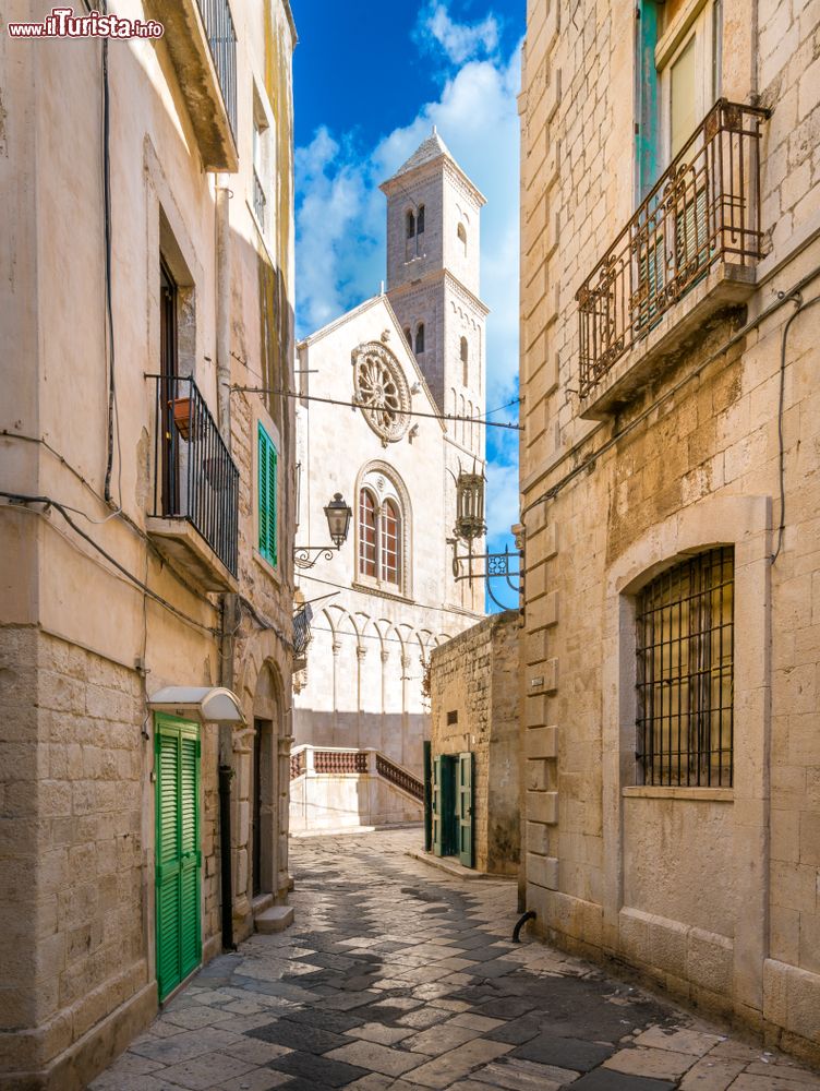 Immagine Una via del centro e la Cattedrale di Giovinazzo in Puglia