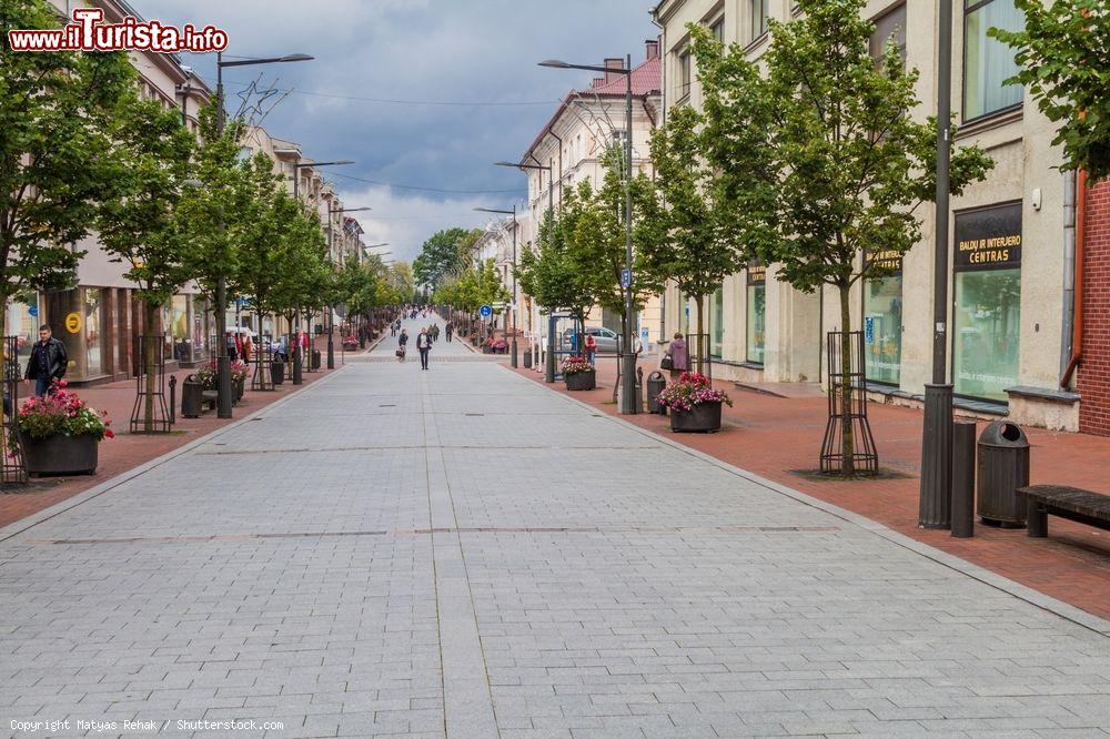 Immagine Una via pedonale del centro di Siauliai, nord della Lituania, in una giornata con il cielo grigio - © Matyas Rehak / Shutterstock.com