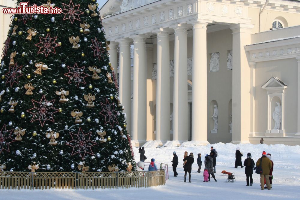 Immagine Una Vinius innevata con il maestoso albero di Natale davanti alla Cattedrale