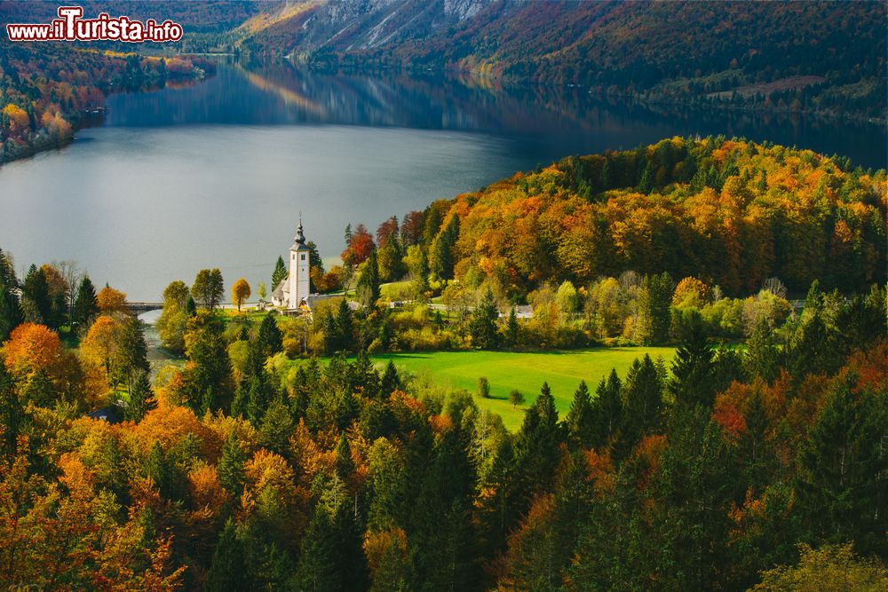 Immagine Una vista mozzafiato dall'alto sul famoso lago di Bohinj, Slovenia. A fare da cornice a questo bacino d'acqua ci sono le montagne del parco nazionale del Tricorno e la chiesetta di San Giovanni Battista.