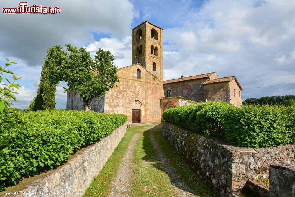 Le foto di cosa vedere e visitare a Sovicille