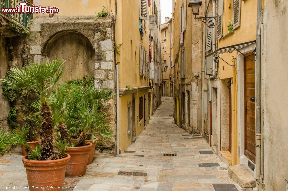 Immagine Una viuzza del centro storico di Grasse, Provenza (Francia) - © Evgeny Shmulev / Shutterstock.com