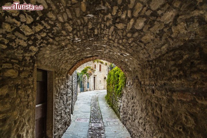 Immagine Una viuzza nel borgo di Palazzuolo sul Senio, Toscana - © GoneWithTheWind / Shutterstock.com