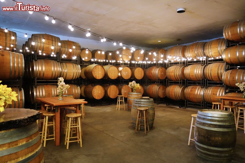 Immagine Una Wine Testing Room a Santa Barbara in California