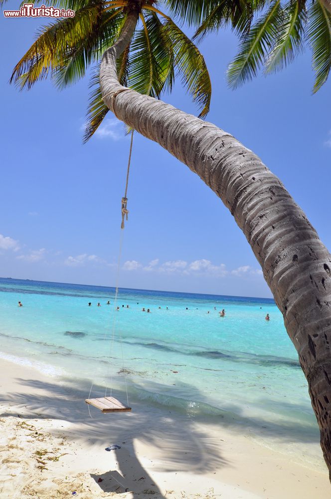 Immagine Un'altalena di legno appesa a una palma da cocco sulla spiaggia di Maafushi, Maldive. Sullo sfondo, l'acqua cristallina dell'Oceano Indiano che circonda questo lembo di terra paradisiaca.