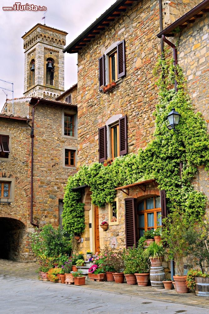 Immagine Un'antica casa in pietra a Barberino Val d'Elsa, Toscana, ricoperta da edera.