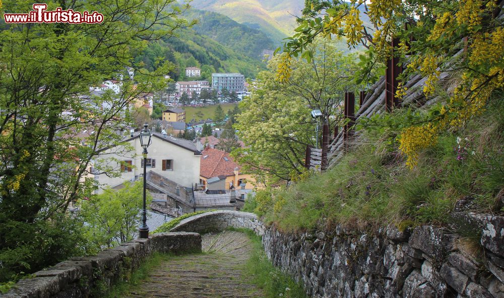 Immagine Un'antica scala in pietra fra piante di acacia in fiore a Sestola, provincia di Modena, Emilia Romagna. Sullo sfondo, il centro abitato.