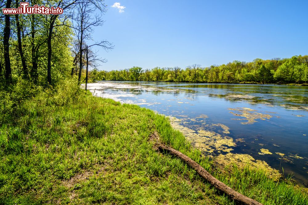 Immagine Un'immagine della città di Waterloo in primavera, Iowa. Questa cittadina, la sesta per grandezza nello stato dell'Iowa, costituisce un unico agglomerato urbano con Cedar Falls, situata a ovest.