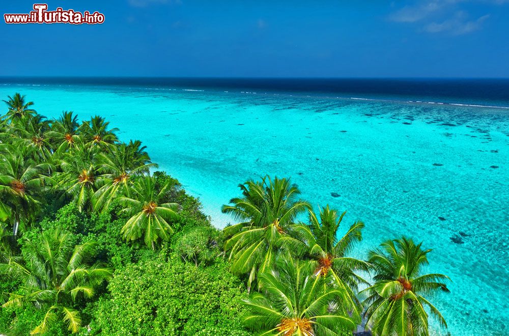 Immagine Un'isola dell'Atollo di Shaviyani: le palme, la laguna turchese, e il blu dell'Oceano Indiano oltre la barriera corallina. Ci troviamo nella parte settentrionale dell'arcipelago delle Maldive.