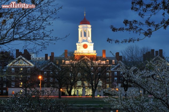Immagine L'Università di Harvard (Harvard University) si trova a Cambridge, nell'area metropolitana di Boston. Fondata nel 1636 grazie ai contributi di John Harvard e altri privati, membro della Ivy League, ha formato otto presidenti degli USA, decine di premi Nobel e una sessantina di miliardari - © Jorge Salcedo / Shutterstock.com