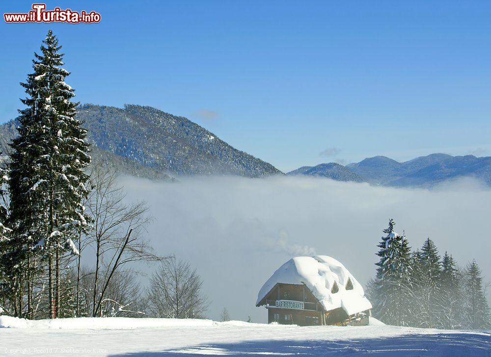 Immagine Uno chalet sulla Ski Arena di Tarvisio sulle Alpi Carniche in Friuli Venezia GIulia - © Pecold / Shutterstock.com
