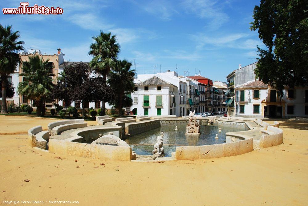 Immagine Uno dei bacini della Fuente del Rey nel centro di Priego de Cordoba, Spagna. La figura centrale del monumento è formata da una scultura di Nettuno e Anfitrite su un carro tirato da cavalli- © Caron Badkin / Shutterstock.com