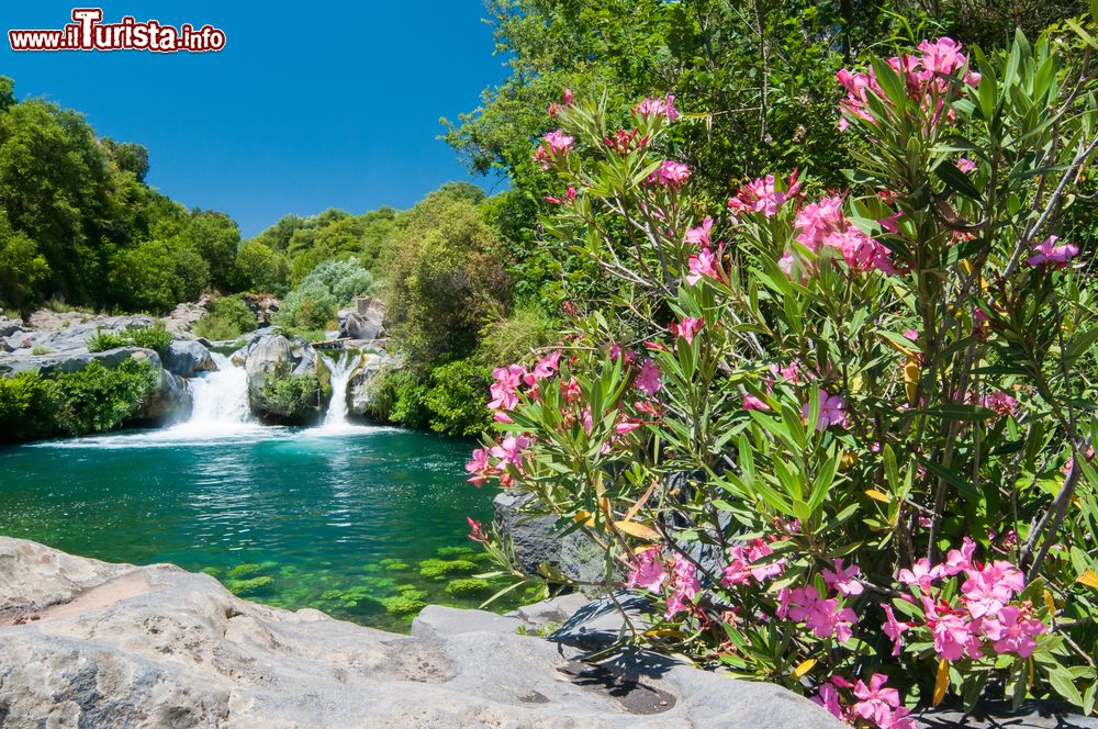 Immagine Uno dei laghetti del fiume Alcantara vicino a Castiglione di Sicilia