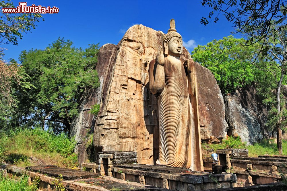 Le foto di cosa vedere e visitare a Sri Lanka