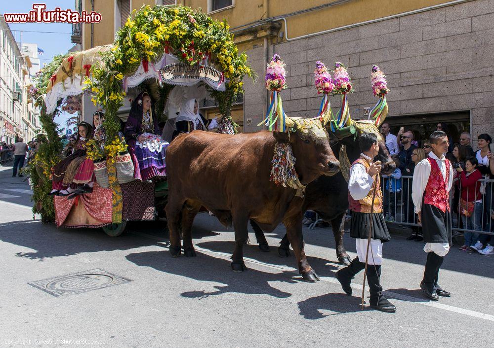 Immagine Uno dei traccas alla Cavalcata Sarda di Sassari. Noto anche come "festa della bellezza", questo evento vede 2500 figuranti sfilare per le vie del centro storico assieme a 270 cavalli e coppie di buoi giganteschi che trainano i carri abbelliti di fiori - © Tore65 / Shutterstock.com