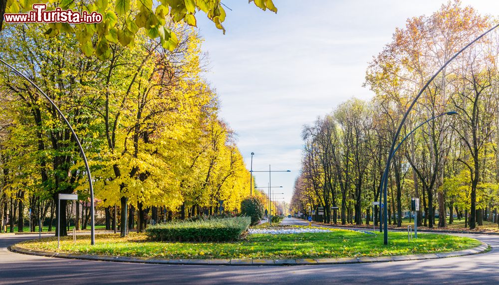 Immagine Uno dei viali di Metanopoli, il quartiere del gruppo ENI a San Donato Milanese