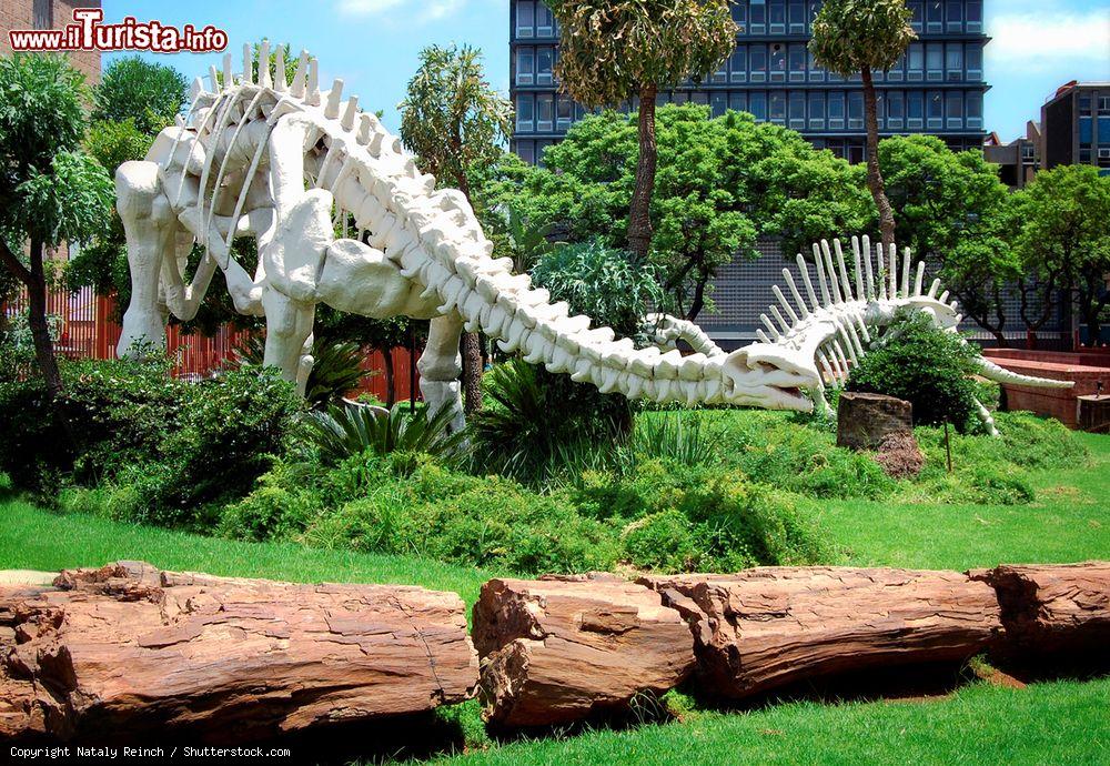 Immagine Uno scheletro di dinosauri estinti in un giardino fra gli alberi a Pretoria, provincia di Gauteng, Sudafrica - © Nataly Reinch / Shutterstock.com