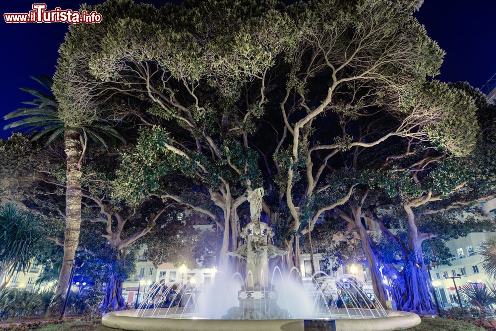 Immagine Uno scorcio by night di Plaza Gabriel Mirò a Alicante, Spagna. Questa suggestiva piazza deve il suo nome allo scrittore Mirò, nato proprio in questa città nel luglio 1879.