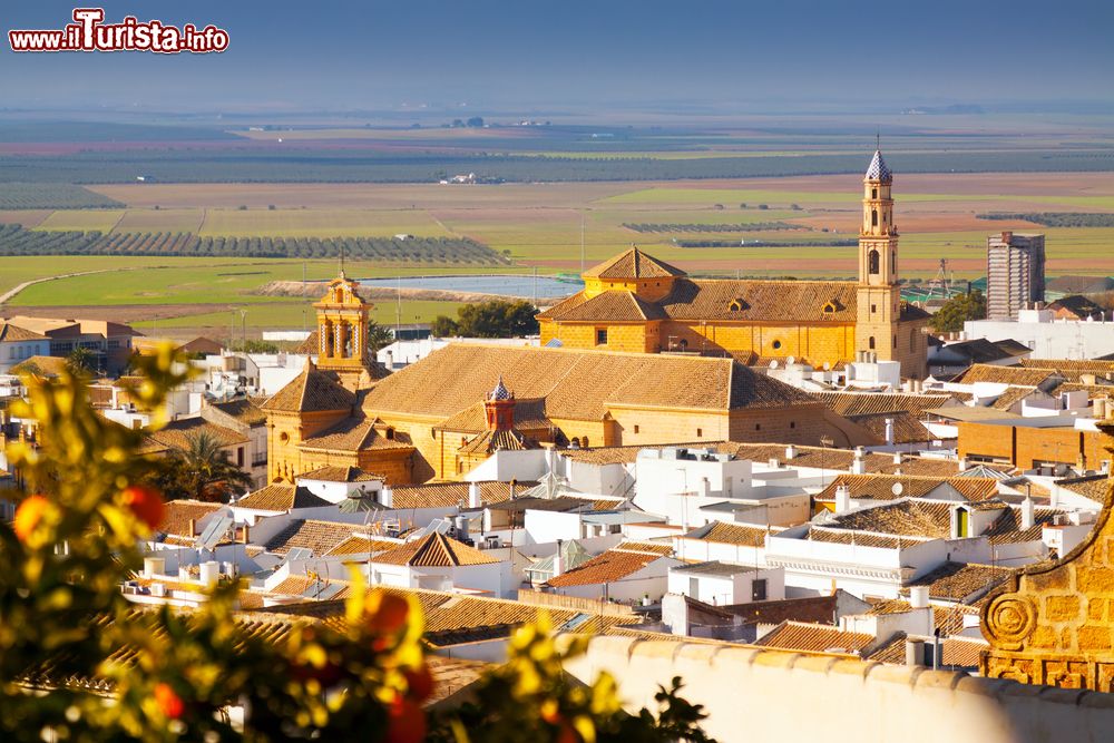 Immagine Uno scorcio dall'alto di Osuna, Andalusia, Spagna. Questa città vanta un patrimonio architettonico unico nel suo genere grazie anche all'università fondata nel 1548, ancora oggi una delle più importanti di tutta la Spagna.