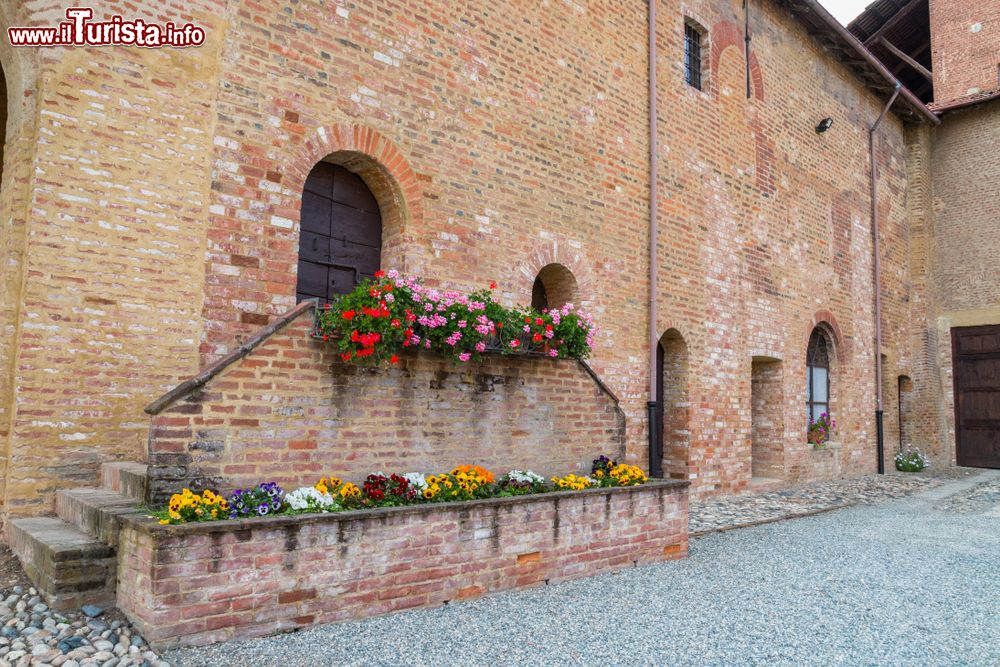 Immagine Uno scorcio degli edifici storici della frazione di Lucedio a Trino Vercellese, Piemonte