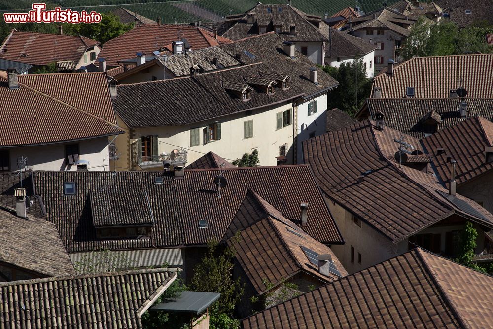 Immagine Uno scorcio dei tetti del villaggio di Cortaccia sulla Strada del Vino