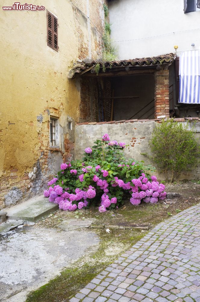 Immagine Uno scorcio del borgo di Montemagno, vicino ad Asti in Piemonte