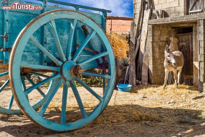Borghi Sardegna I Piu Belli Borghi Sardi Da Visitare