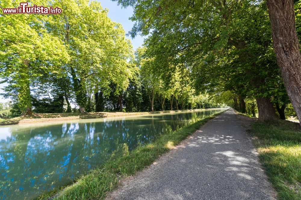 Immagine Uno scorcio del canale della Garonna nei pressi di Moissac, Francia. Prolungamento del Canal du Midi, si snoda per 193 chilometri.