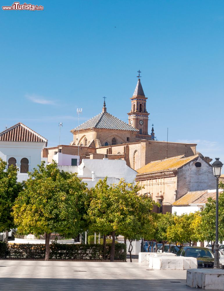 Immagine Uno scorcio del castello di Carmona in Andalusia, Spagna. Siamo nel sud del paese su un'altura di 428 metri da cui si domina la pianura del Guadalquivir.