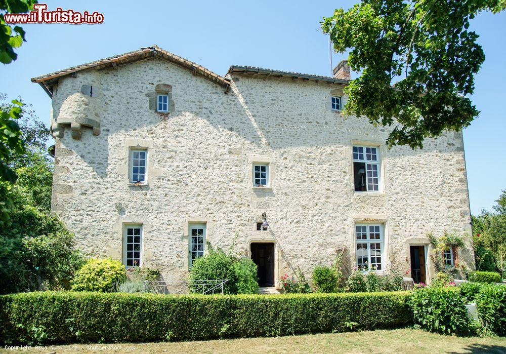 Immagine Uno scorcio del castello di Poitiers (Francia) con i giardini in estate - © Asya Nurullina / Shutterstock.com