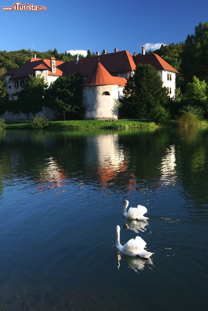Immagine Uno scorcio del celebre castello di Otocec, Slovenia. Sorge adagiato su un isolotto boscoso in mezzo al fiume Krka.