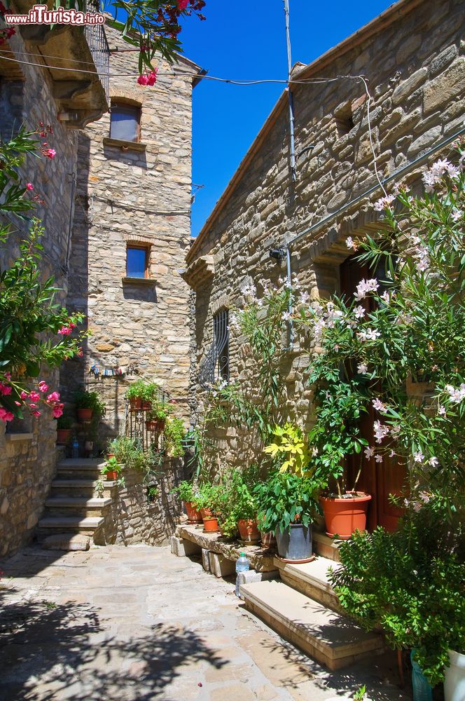 Immagine Uno scorcio del centro di Guardia Perticara (Basilicata) con le case in pietra abbellite da fiori e piante.