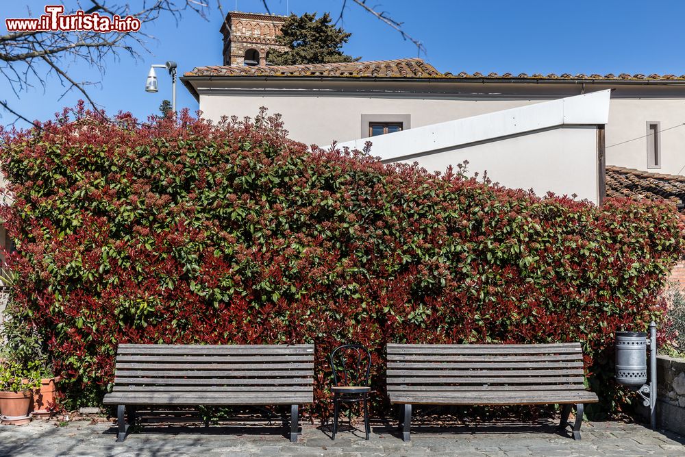 Immagine Uno scorcio del centro di Montemurlo in Toscana