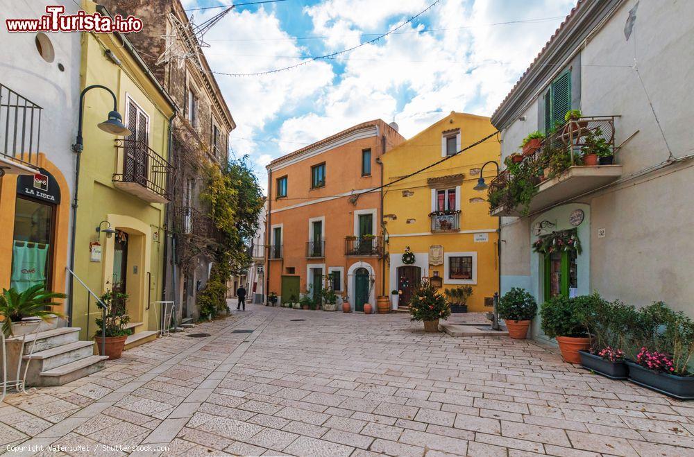 Immagine Uno scorcio del centro storico di Termoli, provincia di Campobasso, Molise. Questa graziosa località molisana è nota per il borgo antico, separato dal resto della città dalle mura di contenimento e dal castello, e per la spiaggia - © ValerioMei / Shutterstock.com