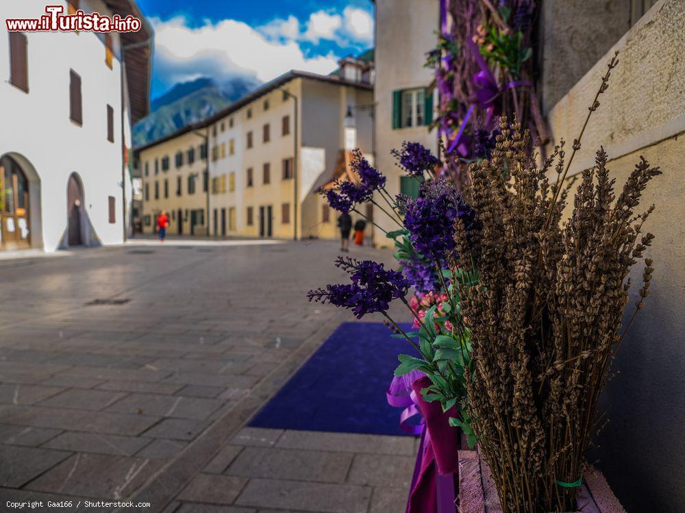 Immagine Uno scorcio del centro storico di Venzone, cittadina anche famosa per la sua lavanda - © Gaa166 / Shutterstock.com