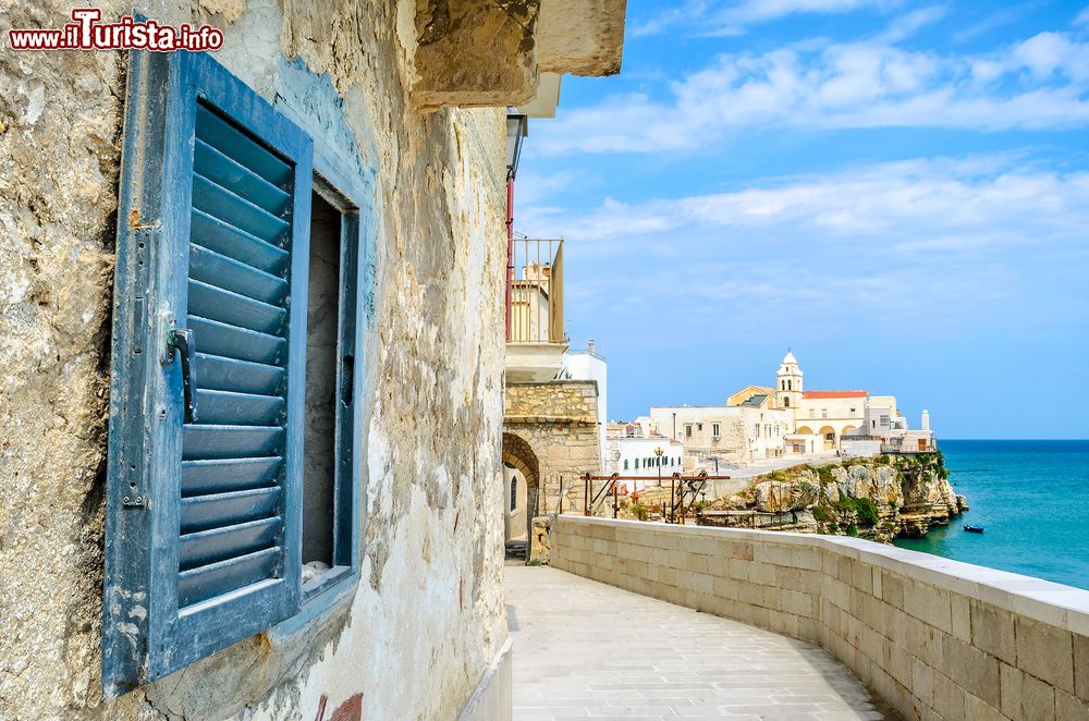 Immagine Uno scorcio del centro storico di Vieste in Puglia, promontorio del Gargano