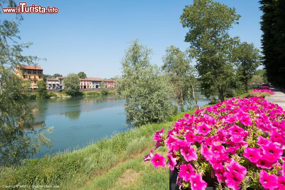 Immagine Uno scorcio del fiume Adda a Pizzighettone, Cremona, Lombardia. Siamo nella Val Padana centrale, lungo l'Adda, pochi chilometri a nord dalla confluenza con il Po © BAMO / Shutterstock.com