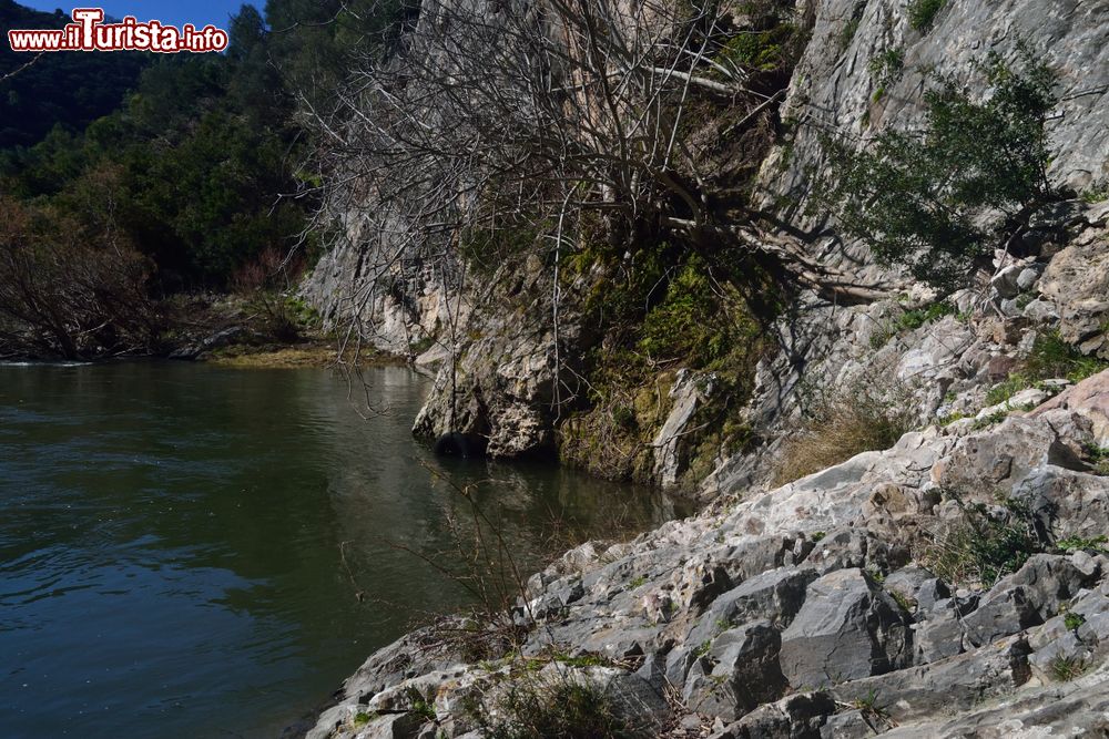 Immagine Uno scorcio del fiume Arxisi nei pressi di Ruinas in Sardegna