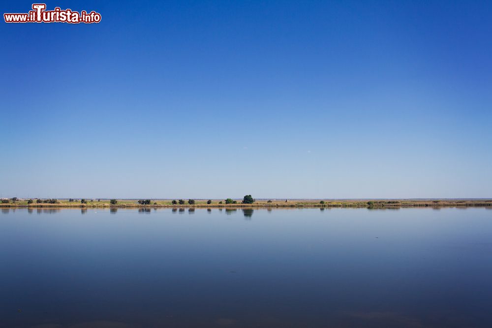 Immagine Uno scorcio del fiume Tago e della campagna nei pressi di Vila Franca de Xira, Portogallo.