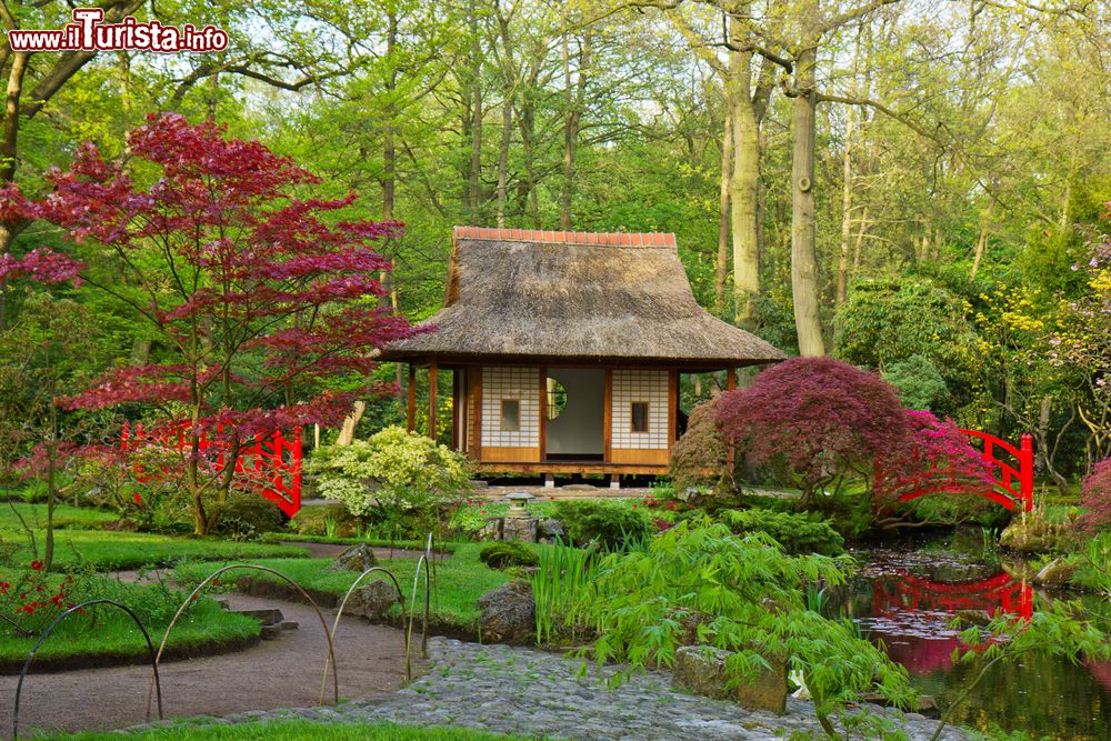 Immagine Uno scorcio del giardino giapponese alla tenuta Clingendael, L'Aia (Olanda).