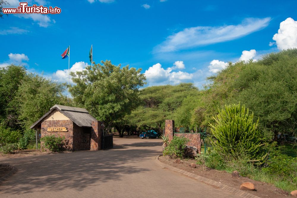 Immagine Uno scorcio del Kruger National Park a Mpumalanga, provincia del Sudafrica. Il nome Mpumalanga in lingua Zulu significa "luogo dove sorge il sole".