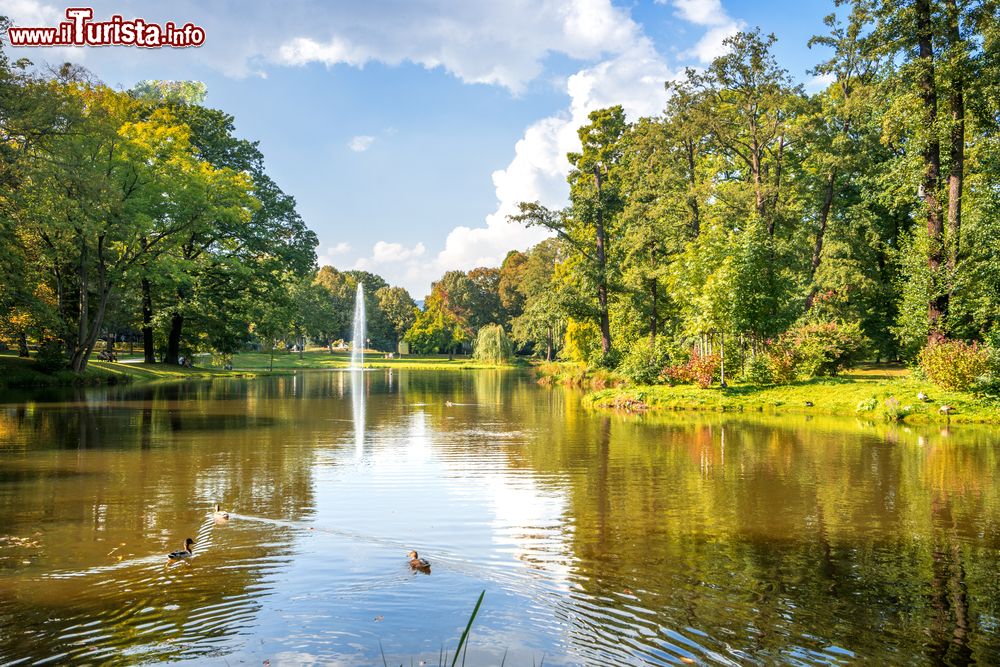 Immagine Uno scorcio del Kurpark a Wiesbaden, Germania. Questo parco di 75.000 metri quadri inizia immediatamente dietro al Kurhaus; fu progettato nel 1852 nello stile dei giardini all’inglese e comprende magnolie, azalee, rododendri e cipressi palustri. Il laghetto, dove i visitatori possono anche noleggiare barche, racchiude un’isoletta artificiale e una fontana alta sei metri.