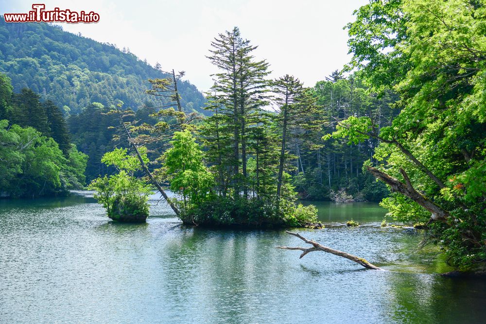 Immagine Uno scorcio del lago Akan, Akan National Park, Hokkaido, Giappone. A creare questo bacino d'acqua oltre 6 mila anni fa è stata l'attività vulcanica, in seguito alla formazione di uno sbarramento.
