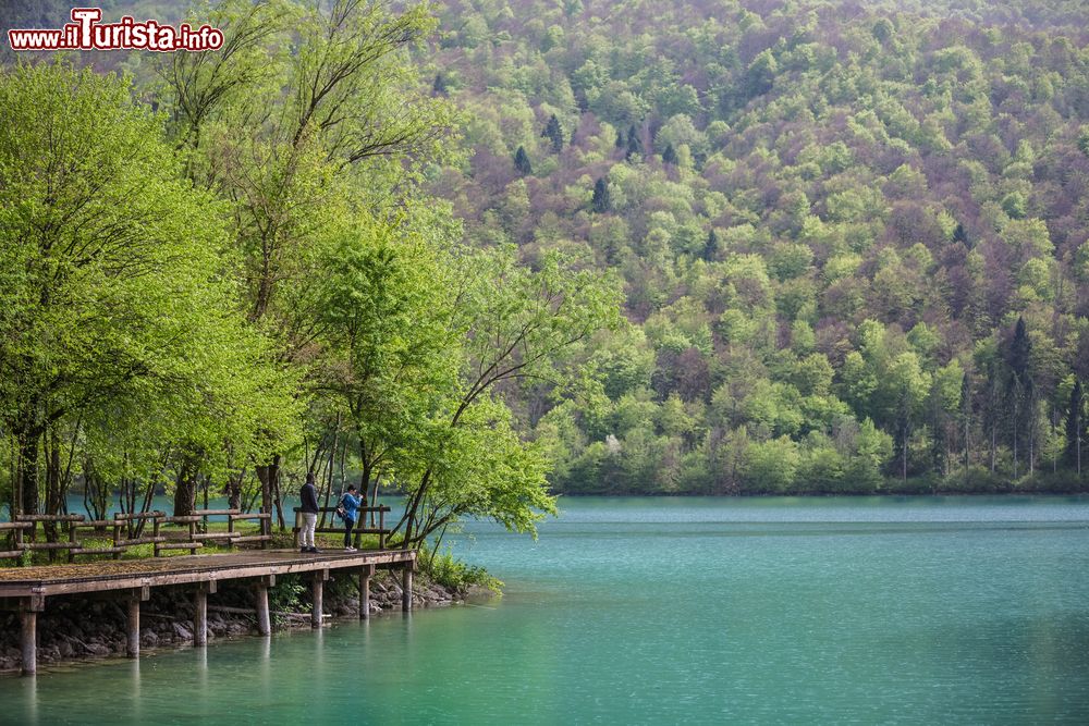 Immagine Uno scorcio del Lago di Baris in Friuli in Carnia