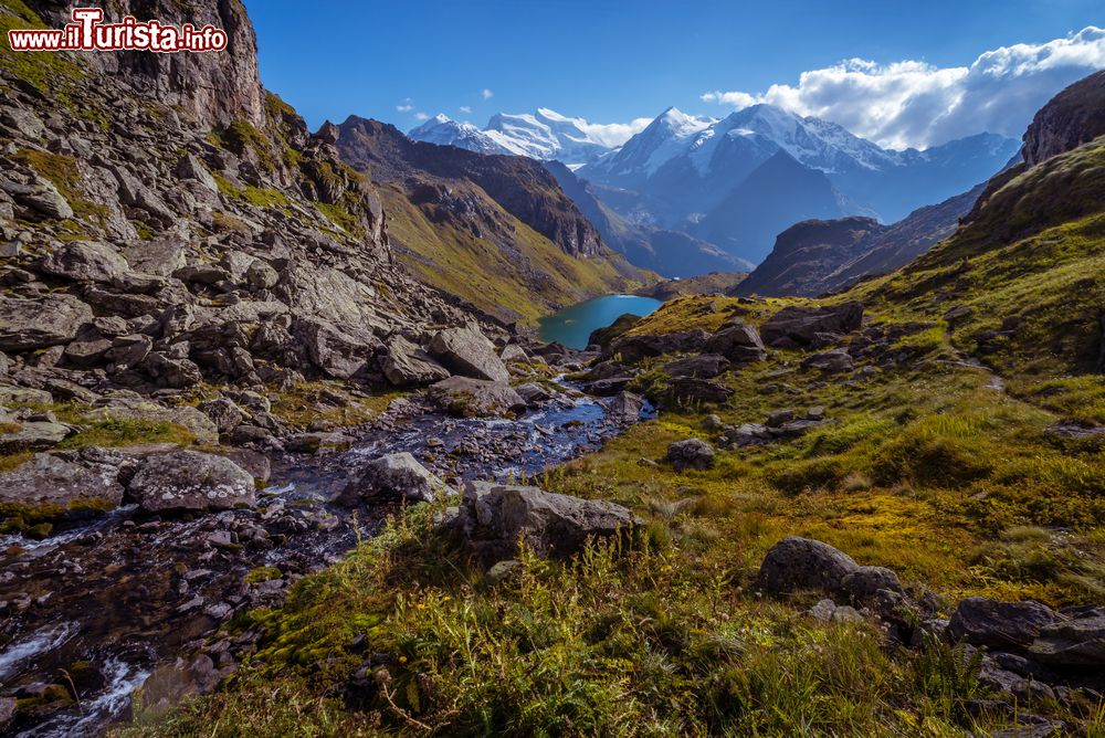 Immagine Uno scorcio del Lago di Louvie con il Grand Combin sullo sfondo, Verbier, Svizzera. I colori autunnali rendono questo paesaggio alpino ancora più pittoresco.