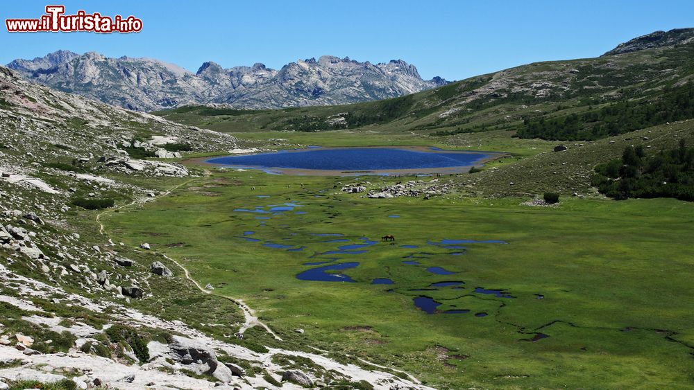 Immagine Uno scorcio del lago di Nino, Vizzavona, Corsica. Secondo più grande bacino d'acqua della Corsica, è anche una delle destinazioni turistiche più frequentate in estate.