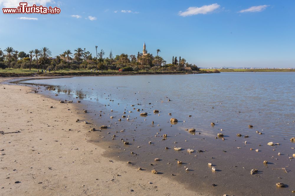 Immagine Uno scorcio del lago salato nei pressi di Larnaca, isola di Cipro. Si tratta di un fenomeno naturale: dichiarato area protetta, è meta prediletta dagli appassionati di birdwatching. E' infatti habitat per circa 80 specie diverse di uccelli.